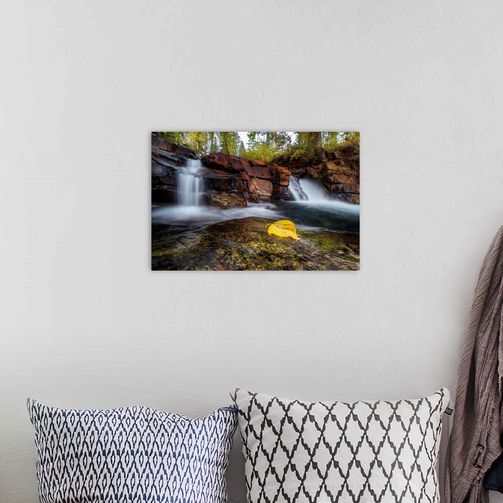 A bohemian room featuring A single fall leaf lying near a waterfall in Central British Columbia, Canada.