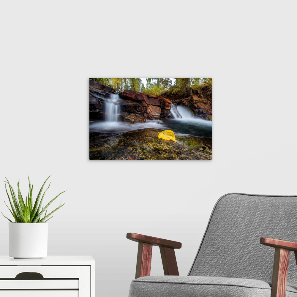 A modern room featuring A single fall leaf lying near a waterfall in Central British Columbia, Canada.