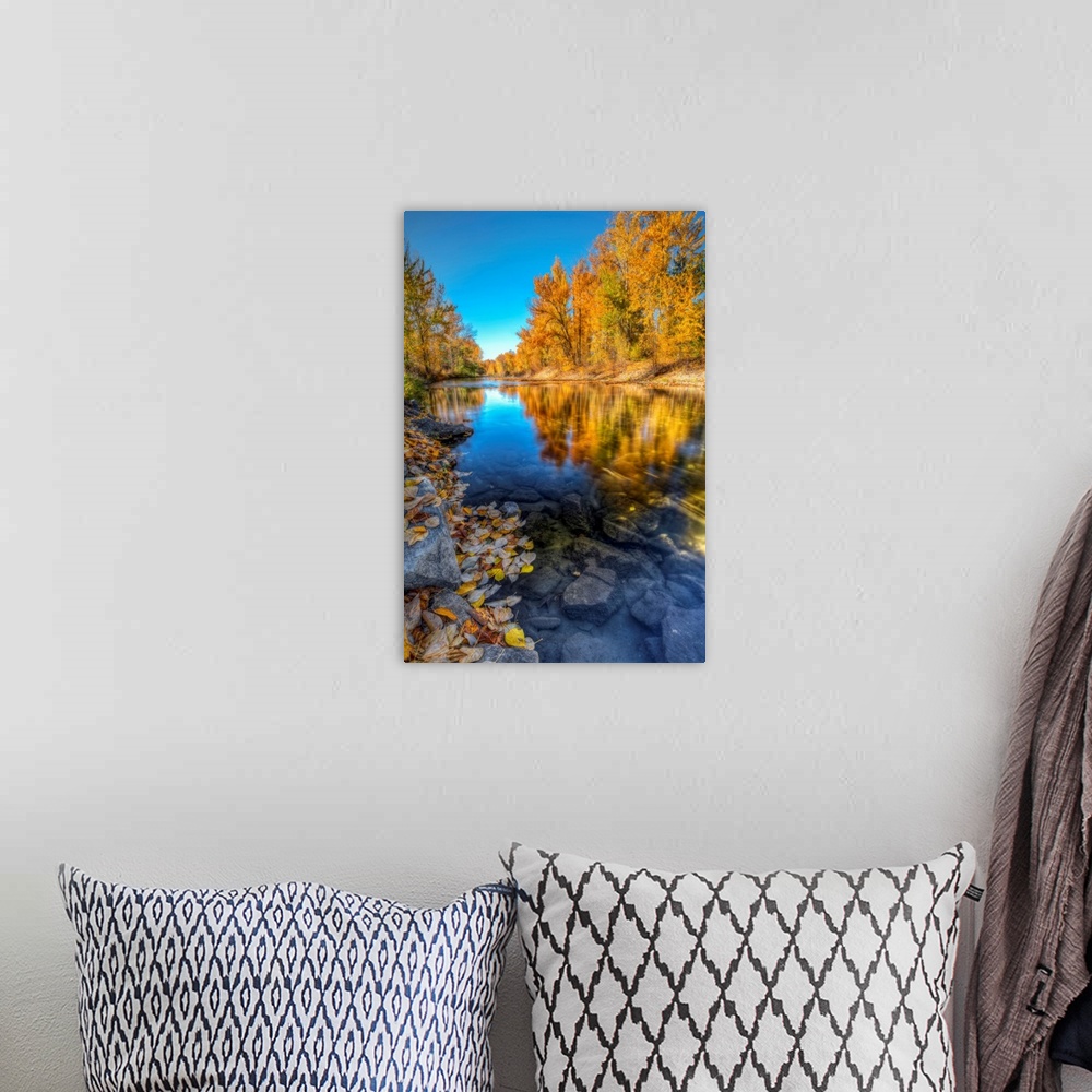 A bohemian room featuring A clear blue sky fall day with colorful trees reflecting along Mission Creek British Columbia, Ca...