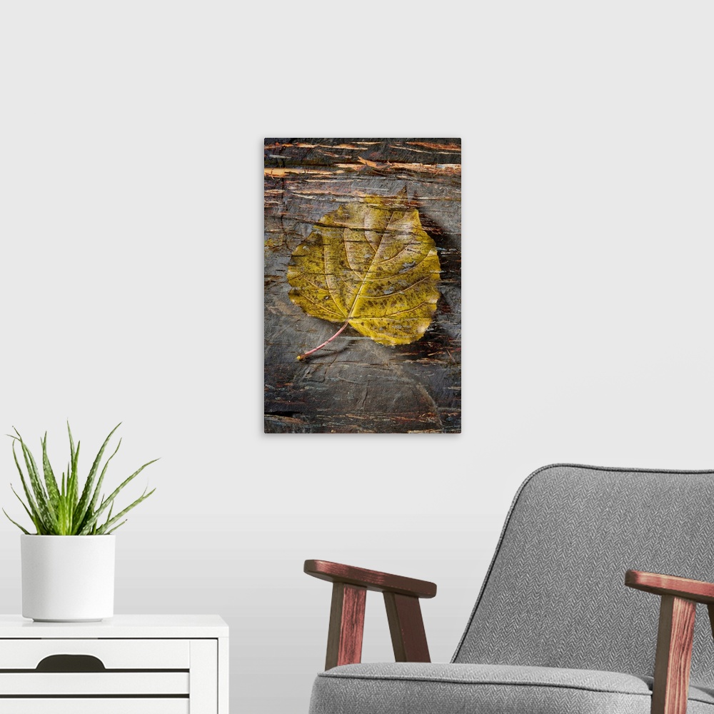 A modern room featuring Still life of a leaf with bark like texture superimposed over top.