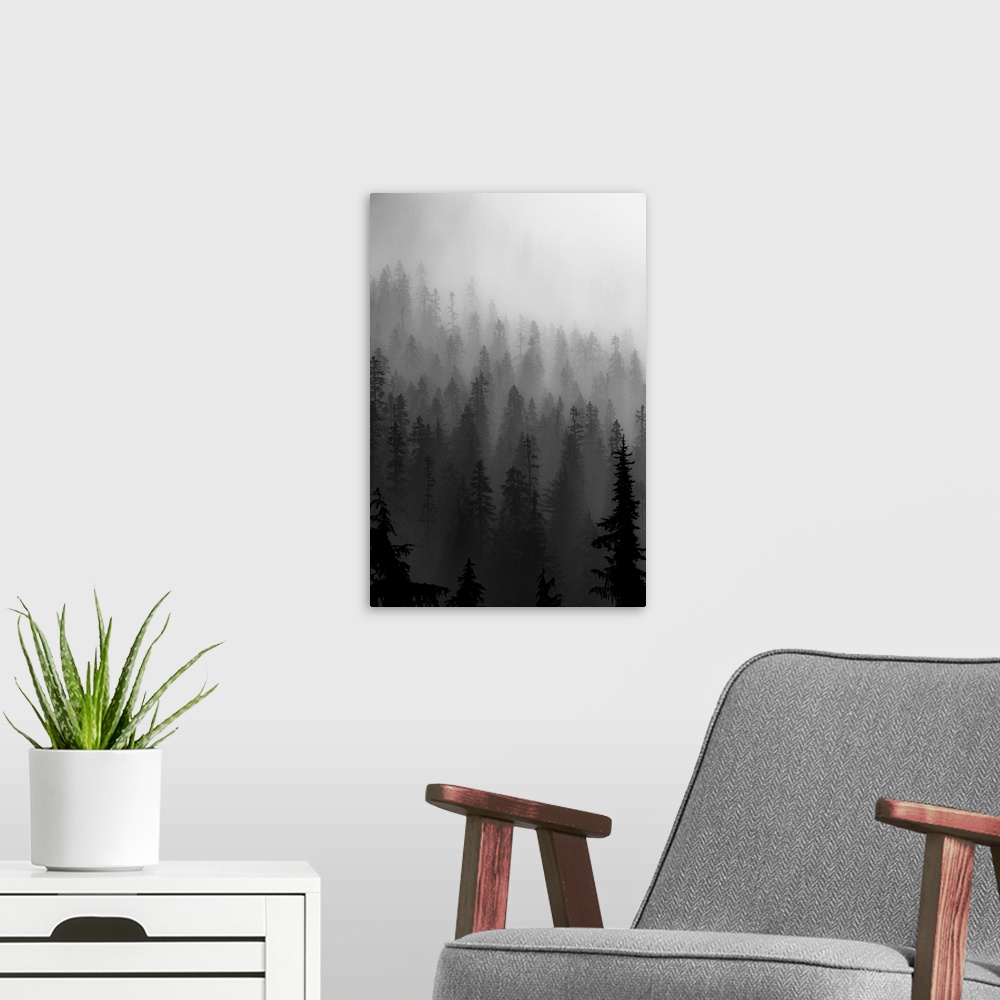 A modern room featuring Mountain Mist