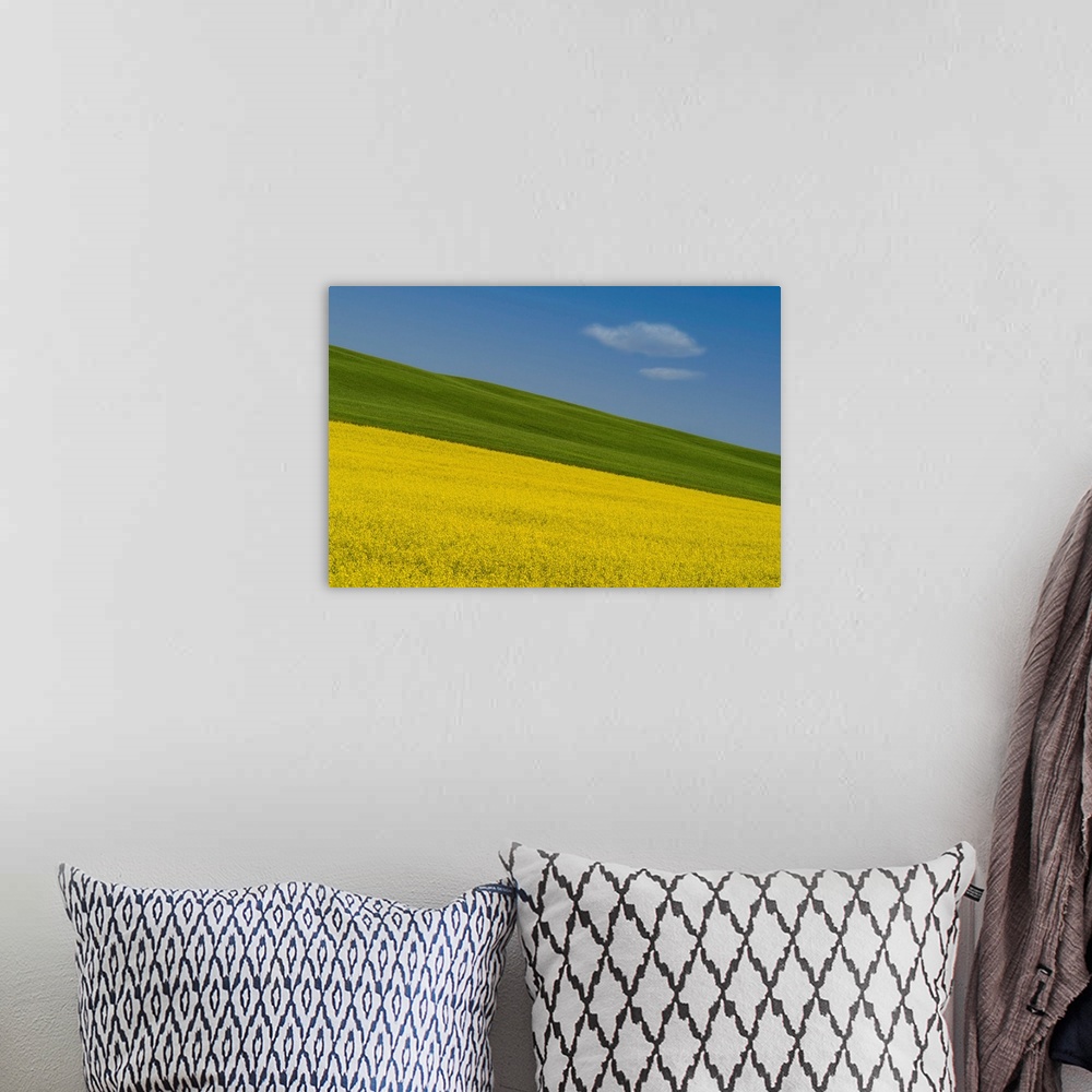 A bohemian room featuring A summer prairie canola field in Central Alberta, Canada with a wandering cloud.