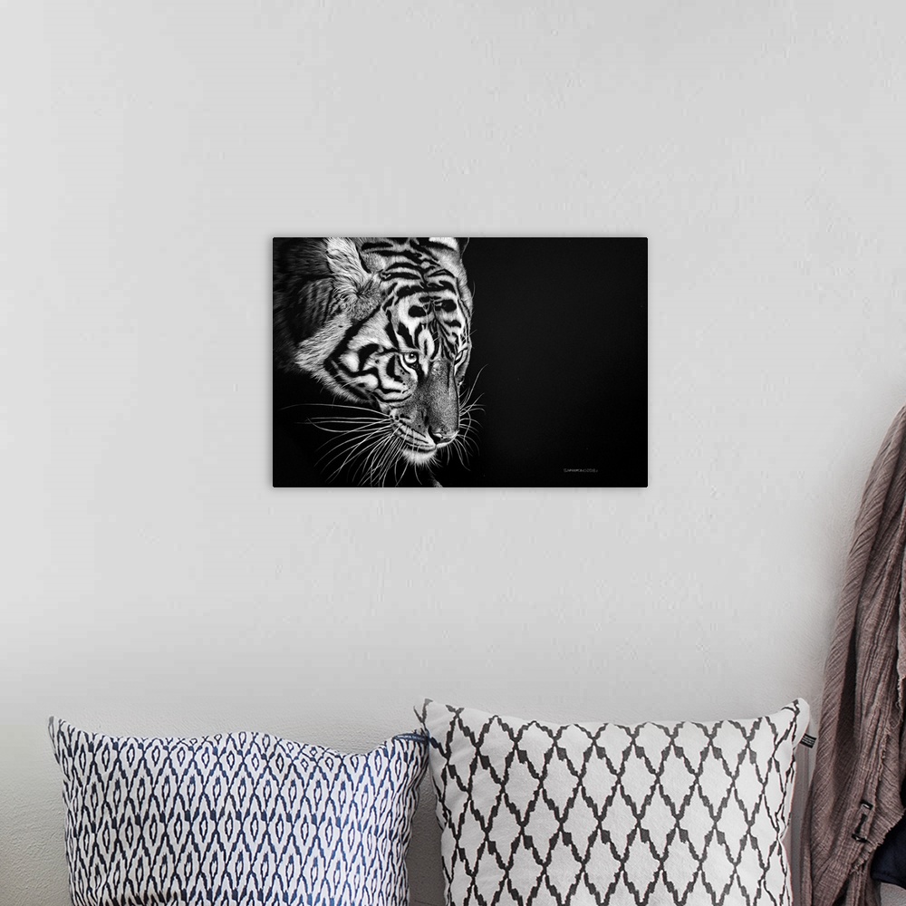 A bohemian room featuring This scratchboard is the ideal medium to capture the fur of this Majestic Cat who is concentratin...