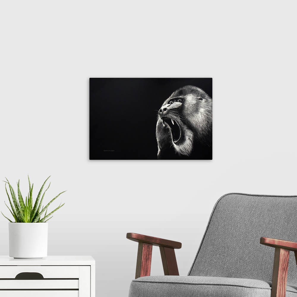 A modern room featuring This scratchboard of this growling Mandrill who was warning his intruder. The eyes and his soft f...