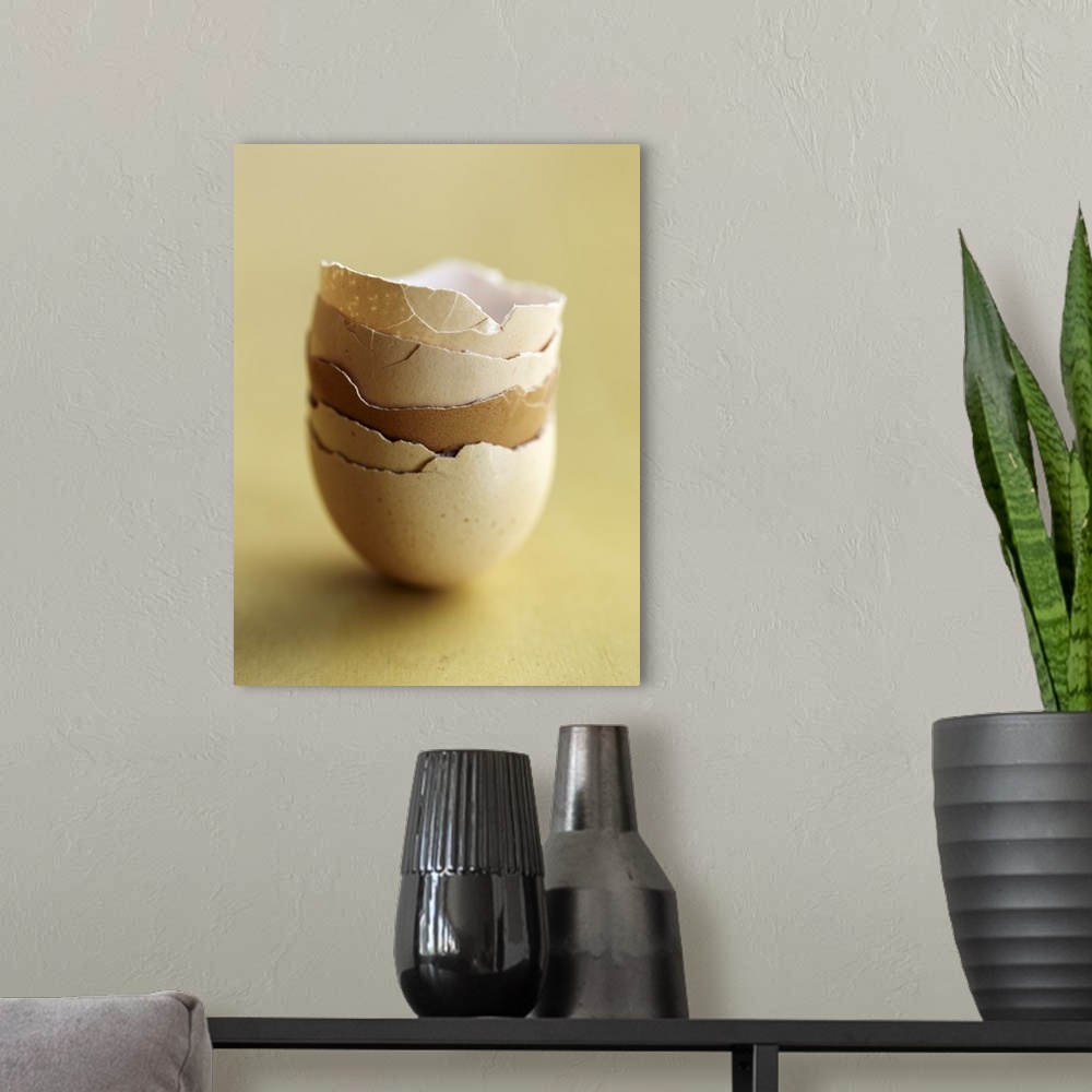 A modern room featuring A stack of empty egg shells