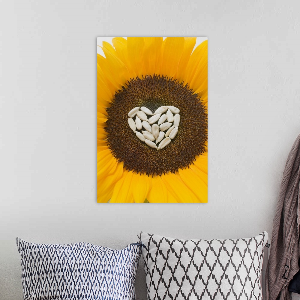 A bohemian room featuring Sunflower with sunflower seed heart