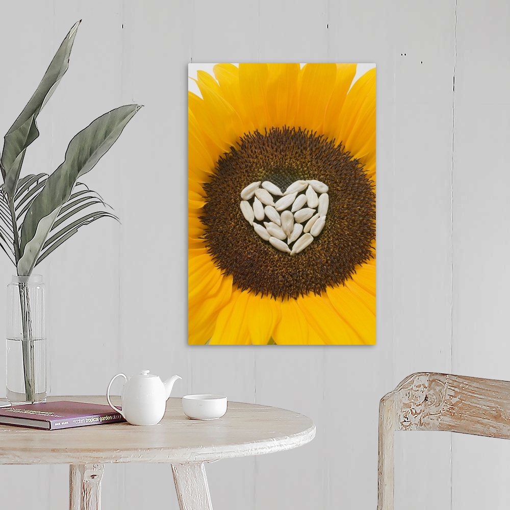 A farmhouse room featuring Sunflower with sunflower seed heart