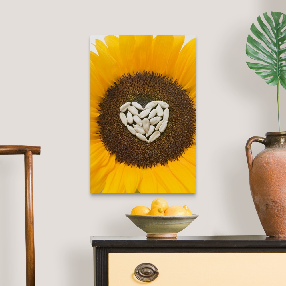 A traditional room featuring Sunflower with sunflower seed heart