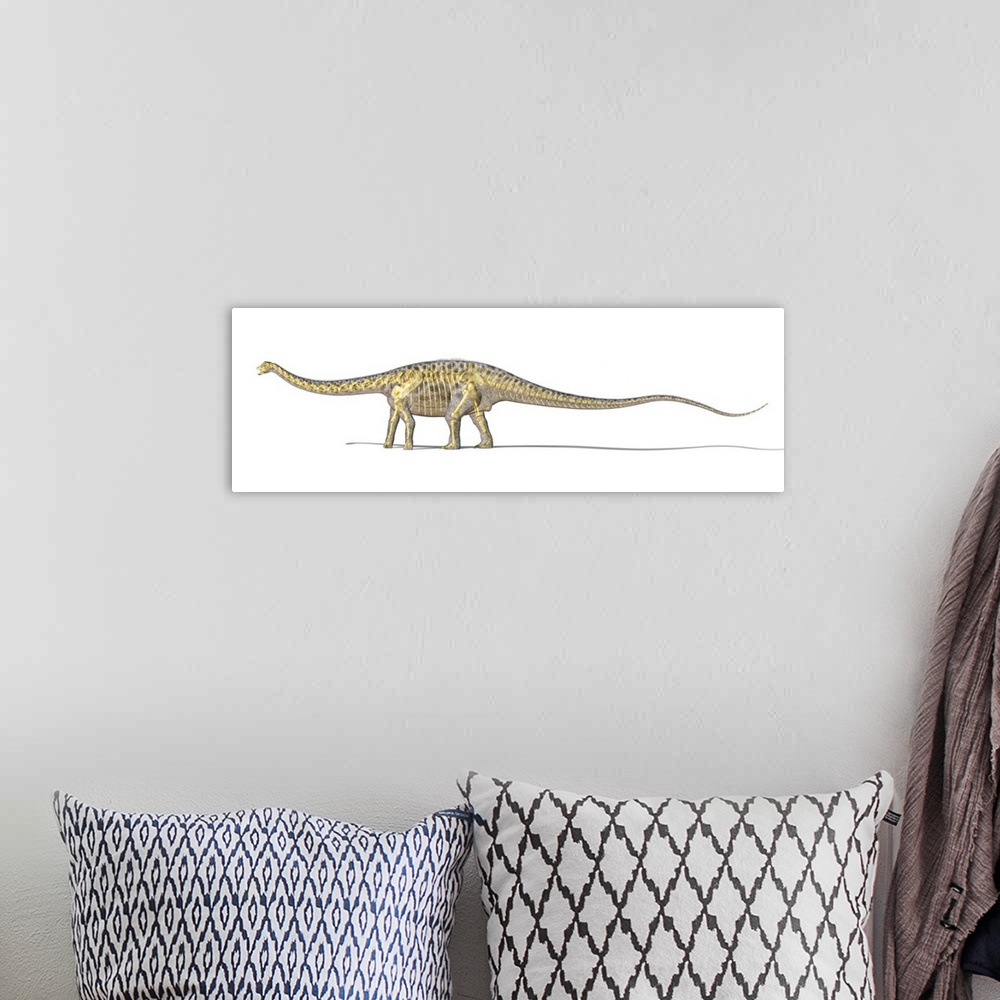 A bohemian room featuring 3D rendering of a Diplodocus dinosaur with full skeleton superimposed.