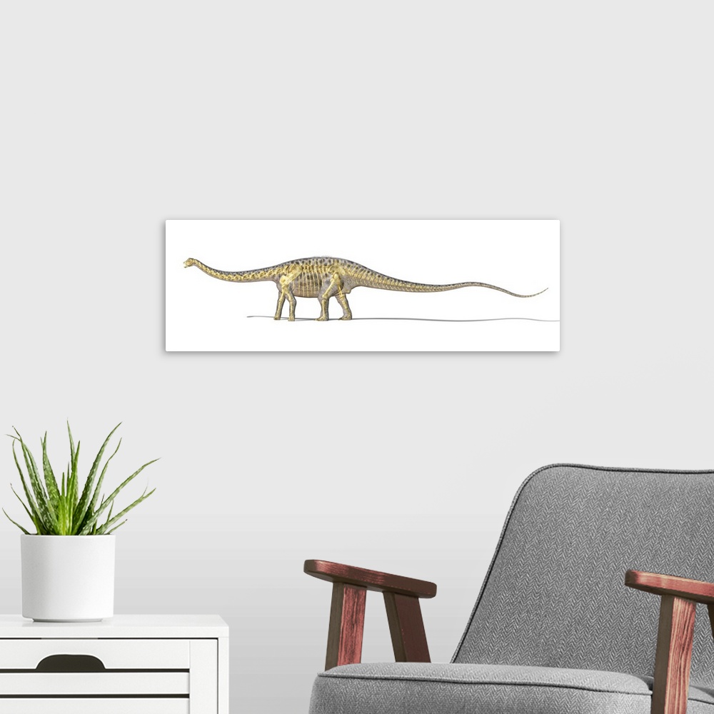 A modern room featuring 3D rendering of a Diplodocus dinosaur with full skeleton superimposed.