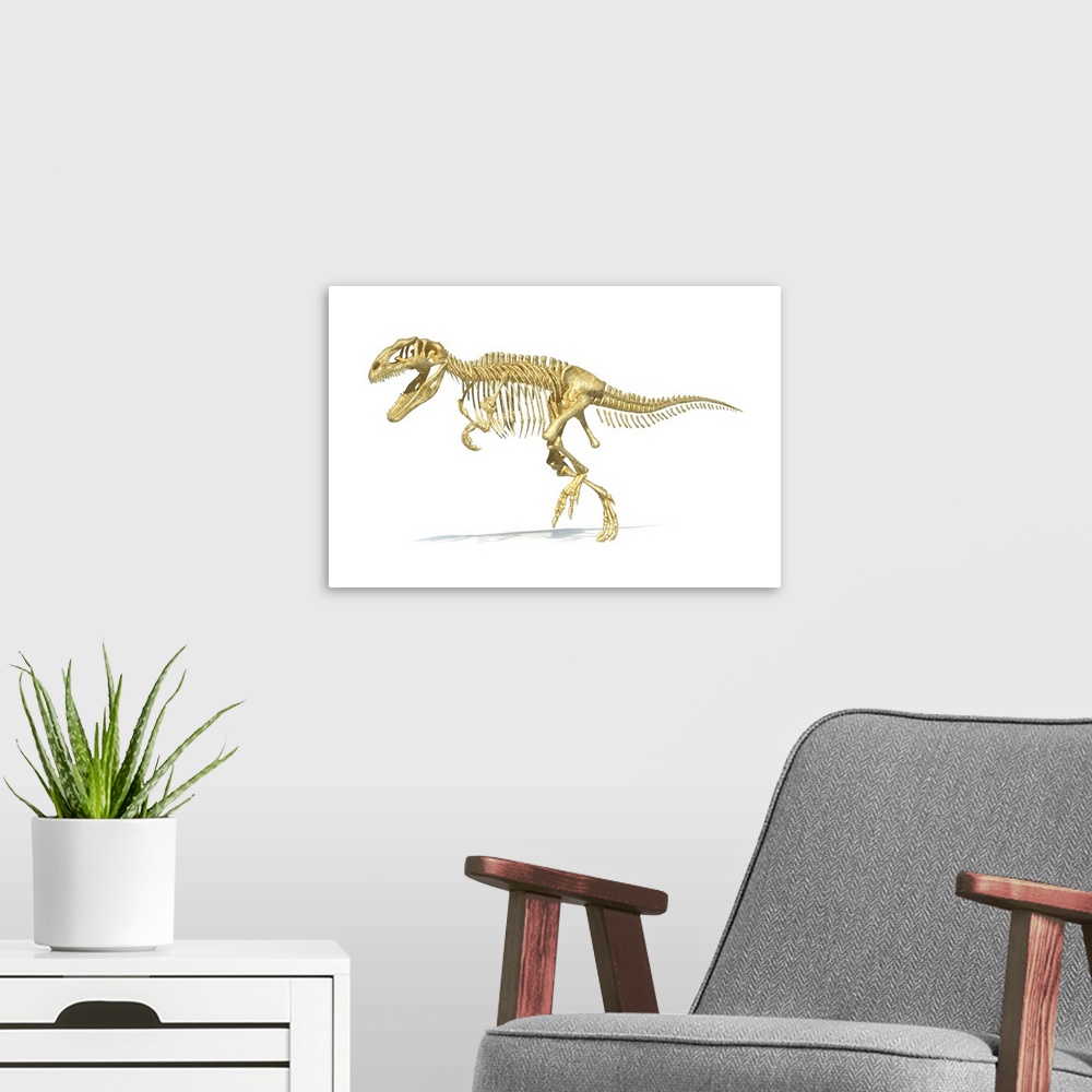 A modern room featuring 3D rendering of a Giganotosaurus dinosaur skeleton.