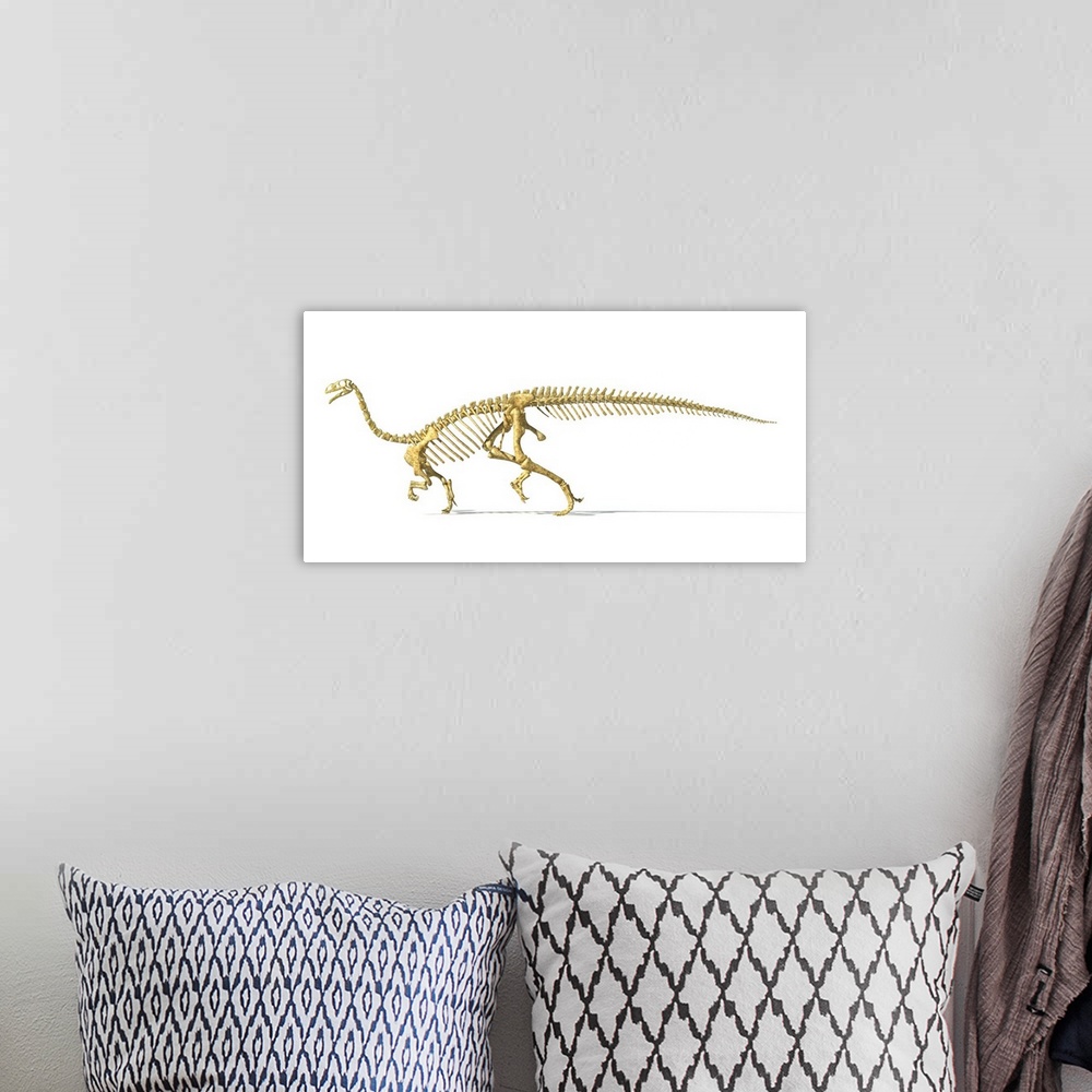 A bohemian room featuring 3D rendering of a Plateosaurus dinosaur skeleton.