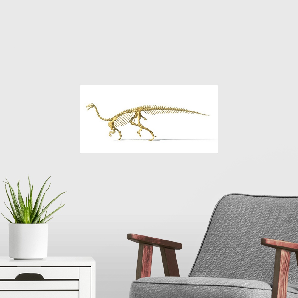 A modern room featuring 3D rendering of a Plateosaurus dinosaur skeleton.