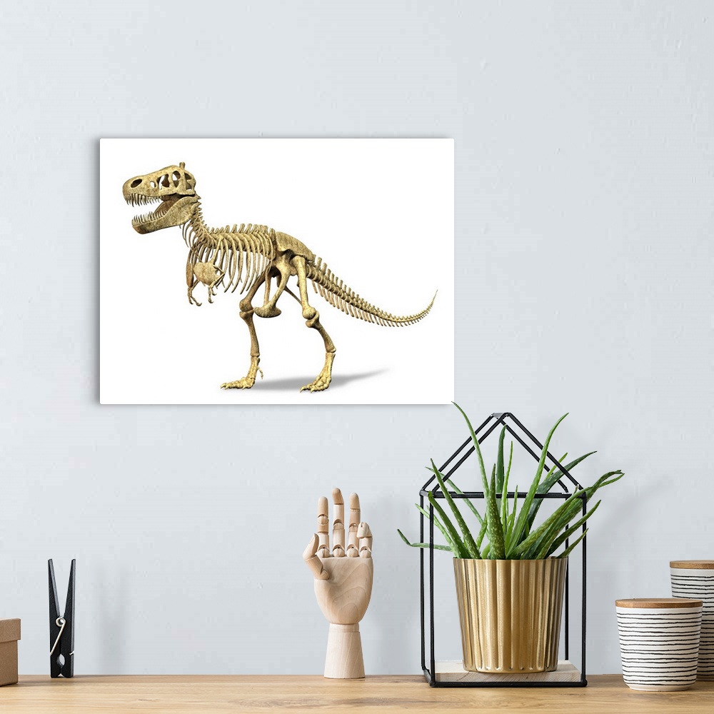 A bohemian room featuring 3D rendering of a Tyrannosaurus Rex dinosaur skeleton. T-Rex was one of the largest carnivorous d...