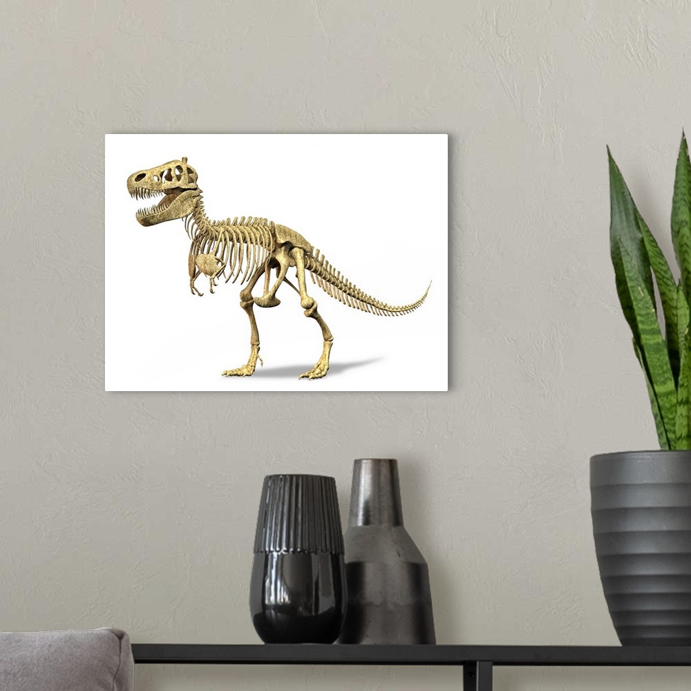 A modern room featuring 3D rendering of a Tyrannosaurus Rex dinosaur skeleton. T-Rex was one of the largest carnivorous d...