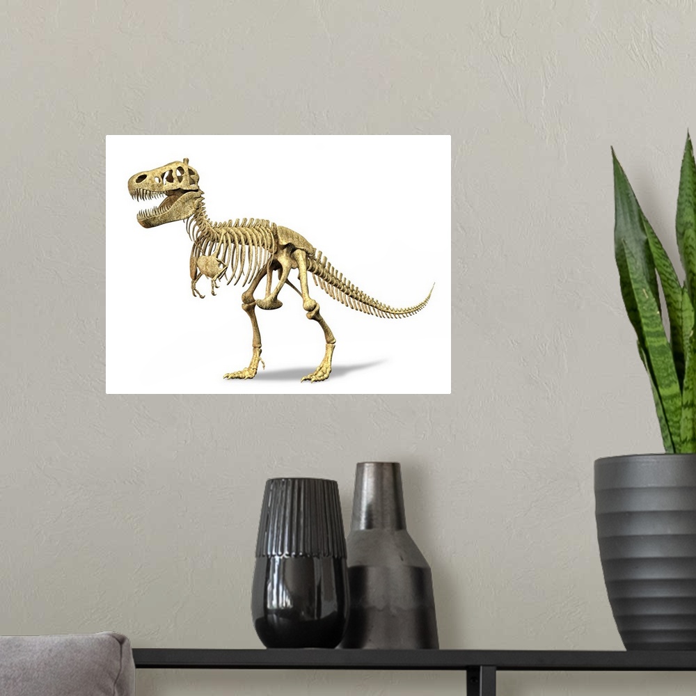 A modern room featuring 3D rendering of a Tyrannosaurus Rex dinosaur skeleton. T-Rex was one of the largest carnivorous d...