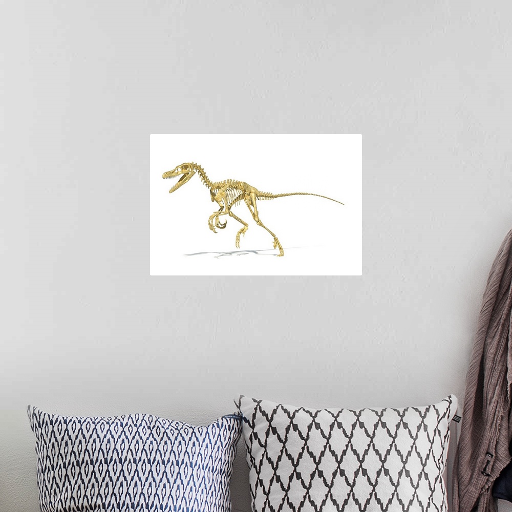 A bohemian room featuring 3D rendering of a Velociraptor dinosaur skeleton.