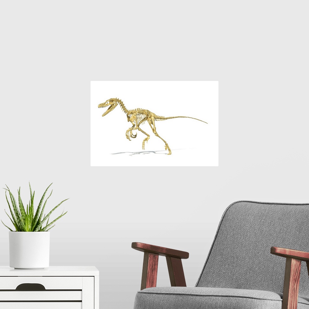 A modern room featuring 3D rendering of a Velociraptor dinosaur skeleton.