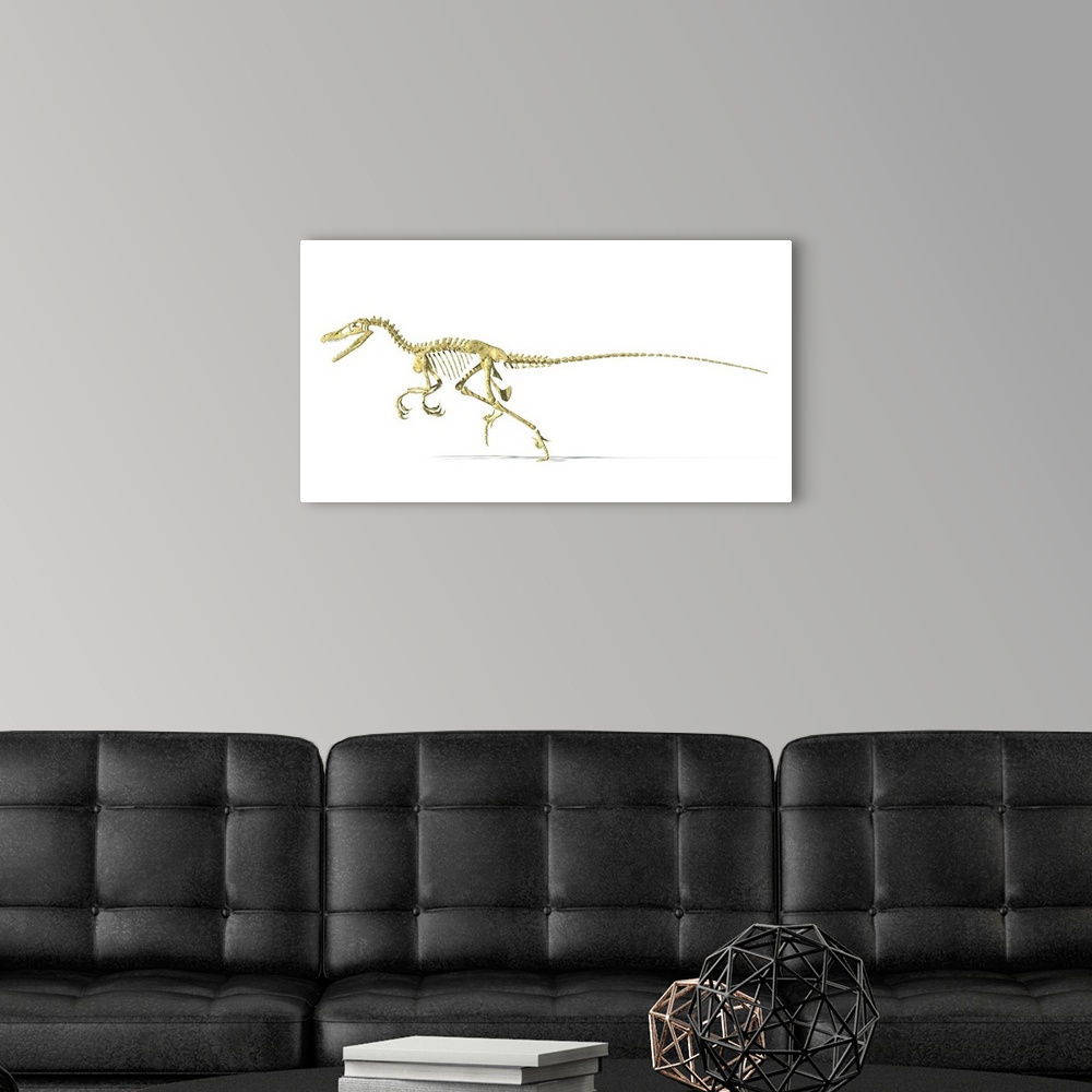 A modern room featuring 3D rendering of a Velociraptor dinosaur skeleton, side view.