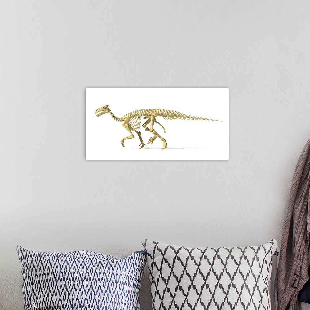 A bohemian room featuring 3D rendering of an Iguanodon dinosaur skeleton.