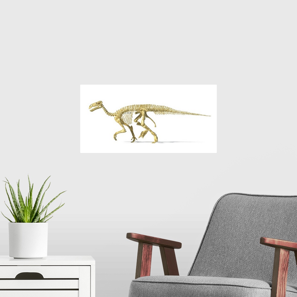 A modern room featuring 3D rendering of an Iguanodon dinosaur skeleton.