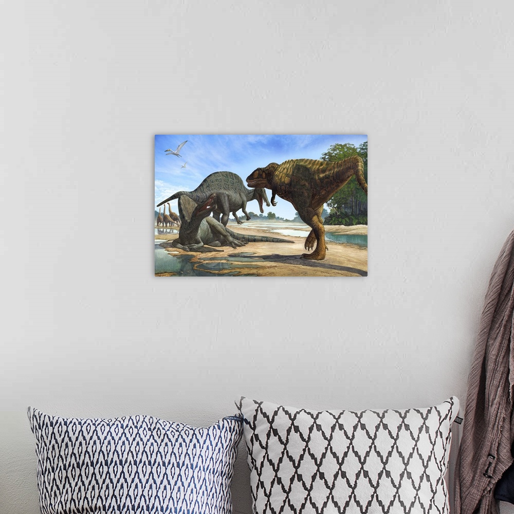 A bohemian room featuring A Carcharodontosaurus invades the territory of two Spinosaurus dinosaurs.