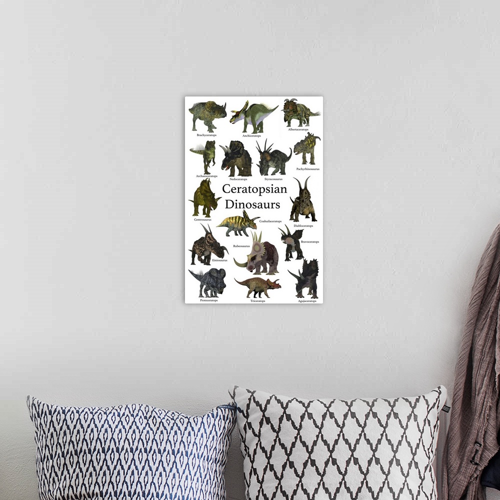 A bohemian room featuring A collection set of ceratops beaked dinosaurs from the Cretaceous Period of the world's history o...