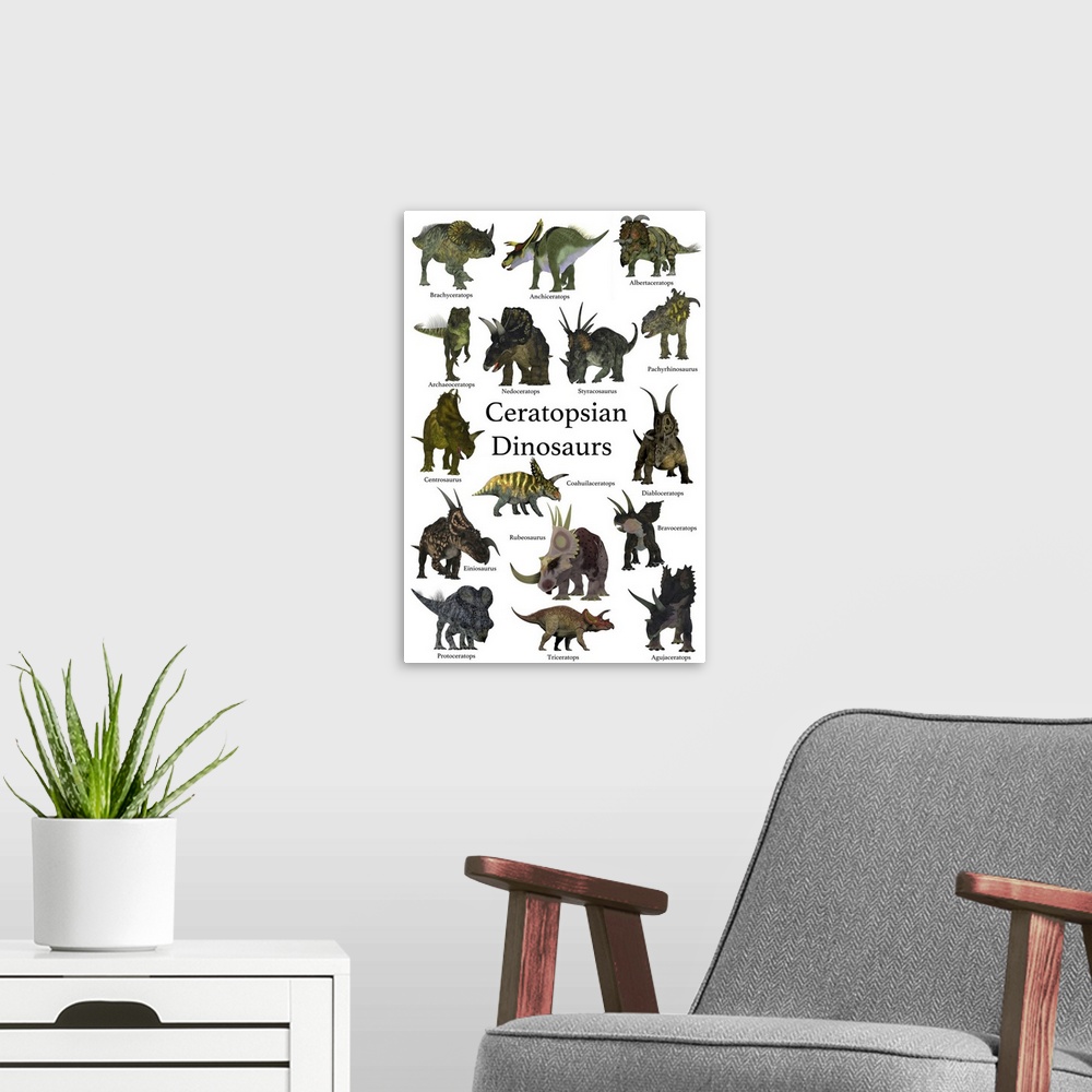 A modern room featuring A collection set of ceratops beaked dinosaurs from the Cretaceous Period of the world's history o...
