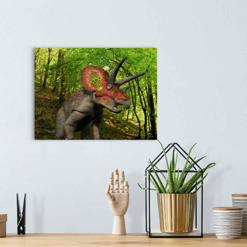 A bohemian room featuring A ten ton Triceratops wanders a Cretaceous forest 68 million years ago in what is today the Weste...