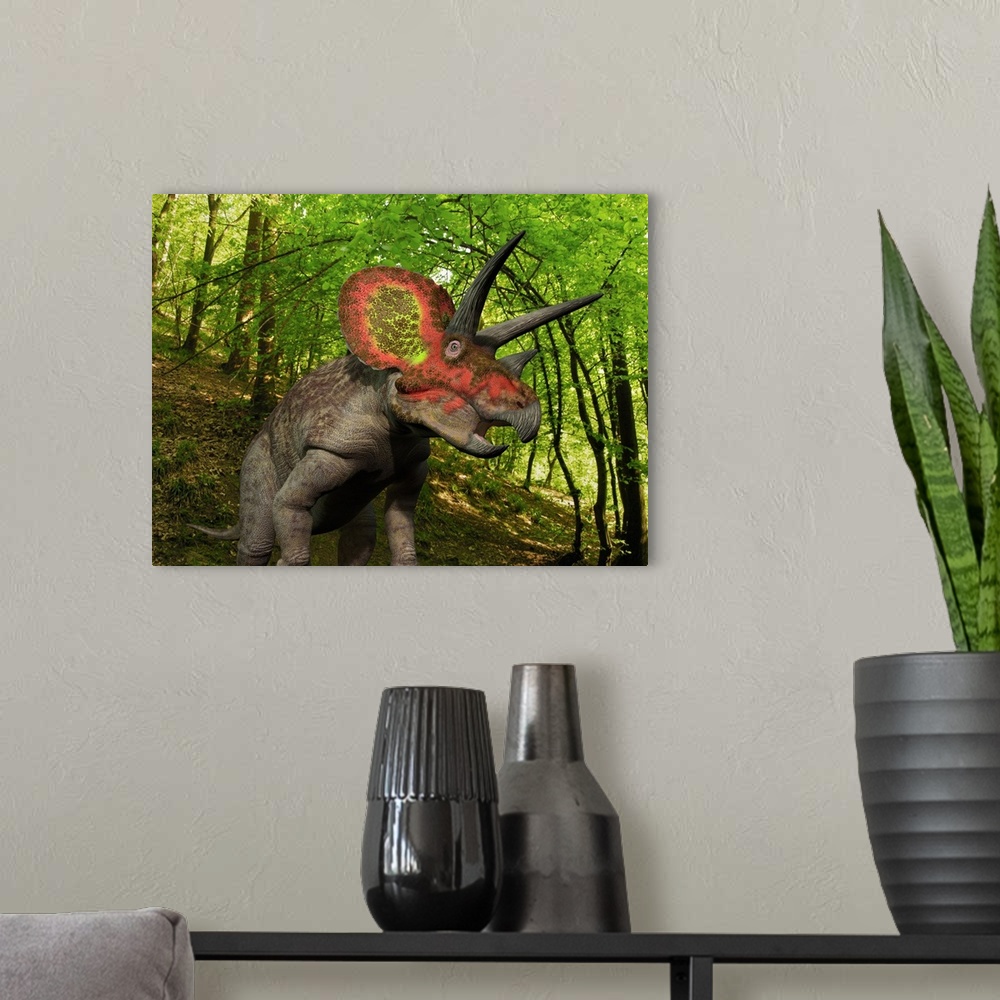 A modern room featuring A ten ton Triceratops wanders a Cretaceous forest 68 million years ago in what is today the Weste...