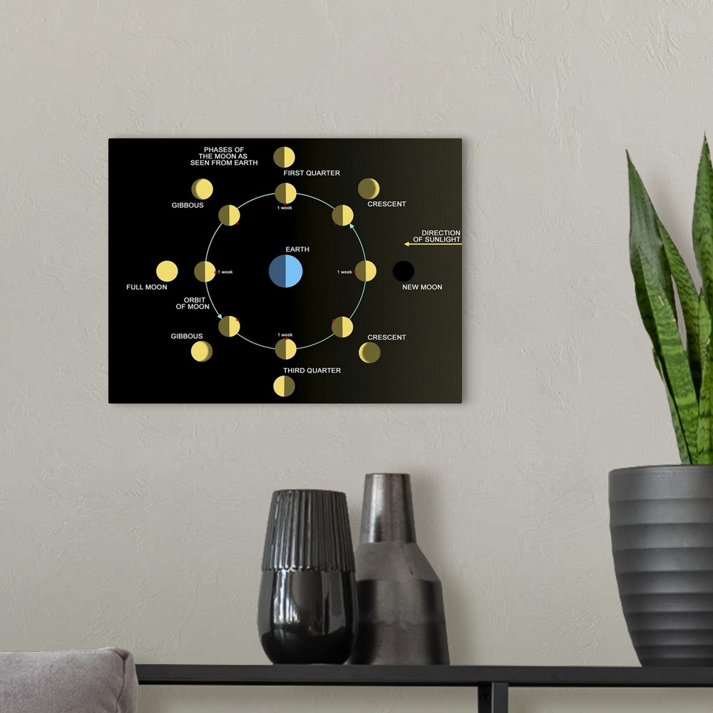 A modern room featuring A diagram showing the phases of the Earth's moon.