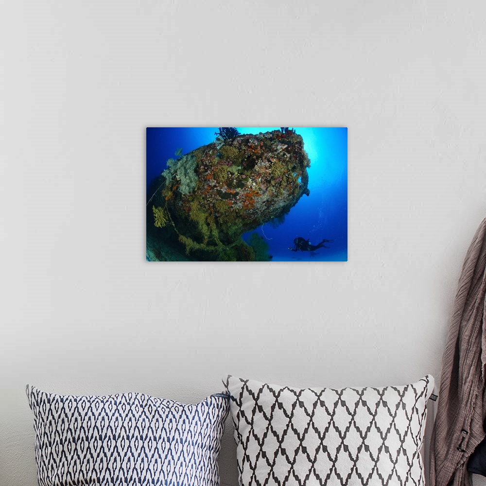 A bohemian room featuring A diver under the coral encrusted stern of the Japanese Cross Wreck.