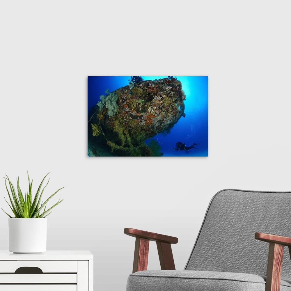 A modern room featuring A diver under the coral encrusted stern of the Japanese Cross Wreck.
