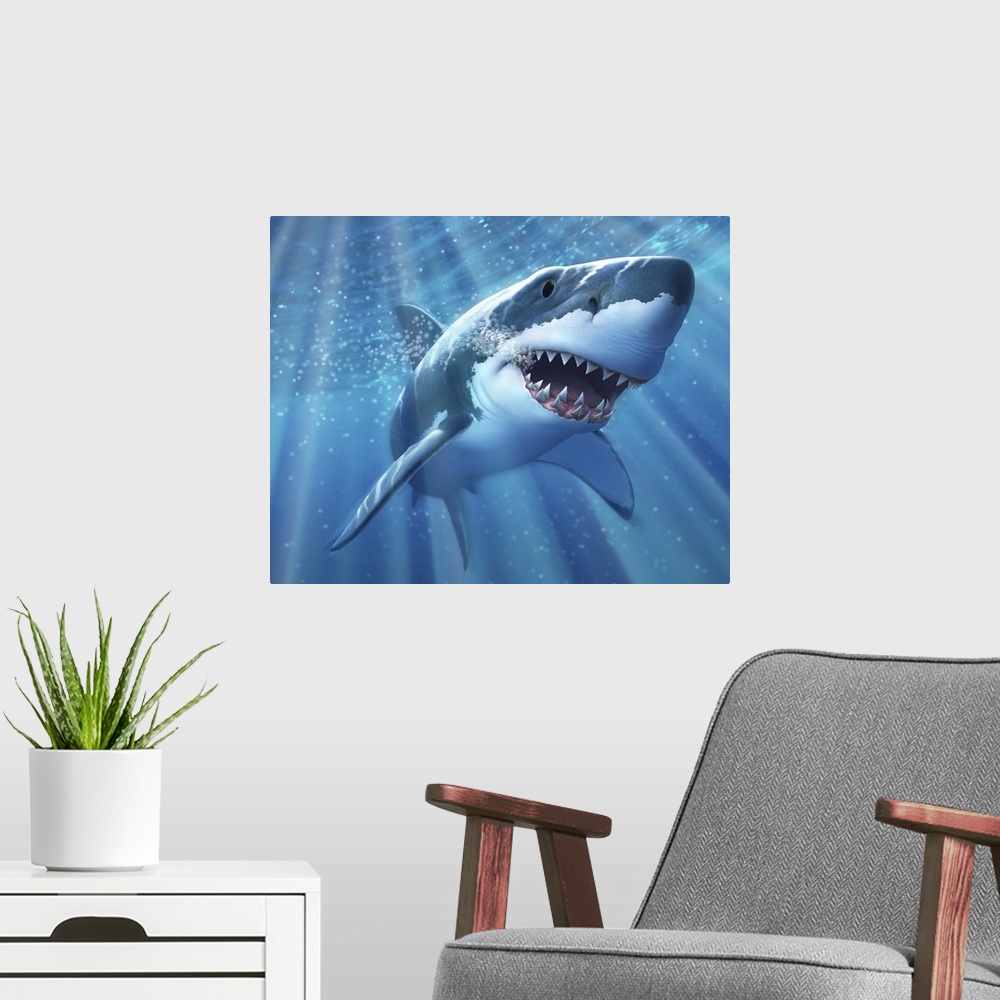 A modern room featuring A Great White Shark with sunrays just below the surface.