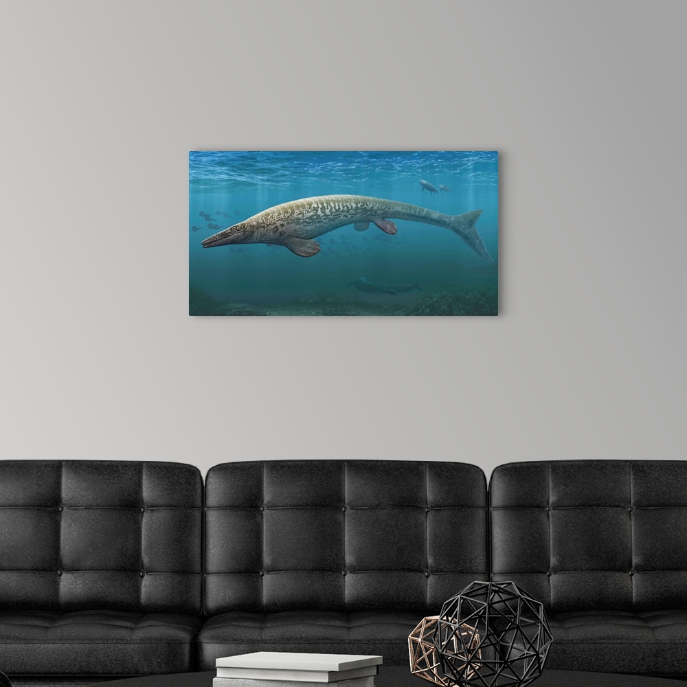 A modern room featuring A large Tylosaurus aquatic reptile searches the Cretaceous waters for food.