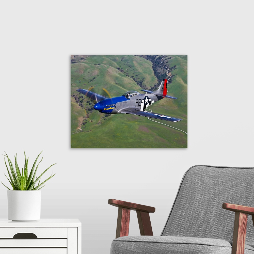 A modern room featuring A P-51D Mustang in flight over Hollister, California.