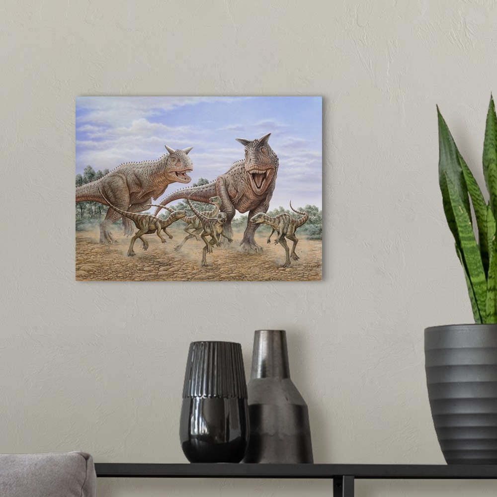 A modern room featuring A pair of Carnotaurus dinosaurs chasing a group of Gasparinisaura.