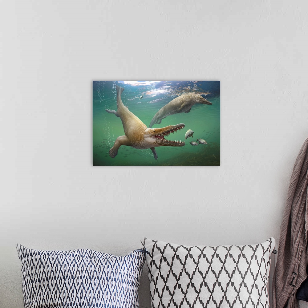 A bohemian room featuring A prehistoric whale, Georgiacetus vogtlensis, catching fish.