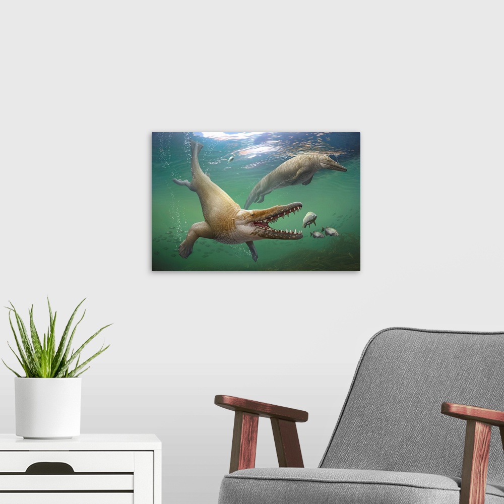 A modern room featuring A prehistoric whale, Georgiacetus vogtlensis, catching fish.