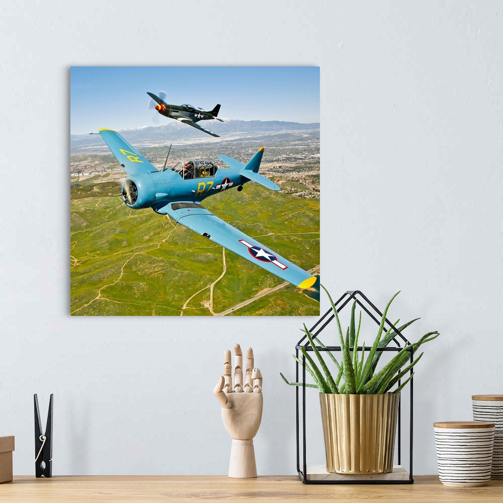 A bohemian room featuring A North American T-6 Texan and a P-51D Mustang in flight over Chino, California.