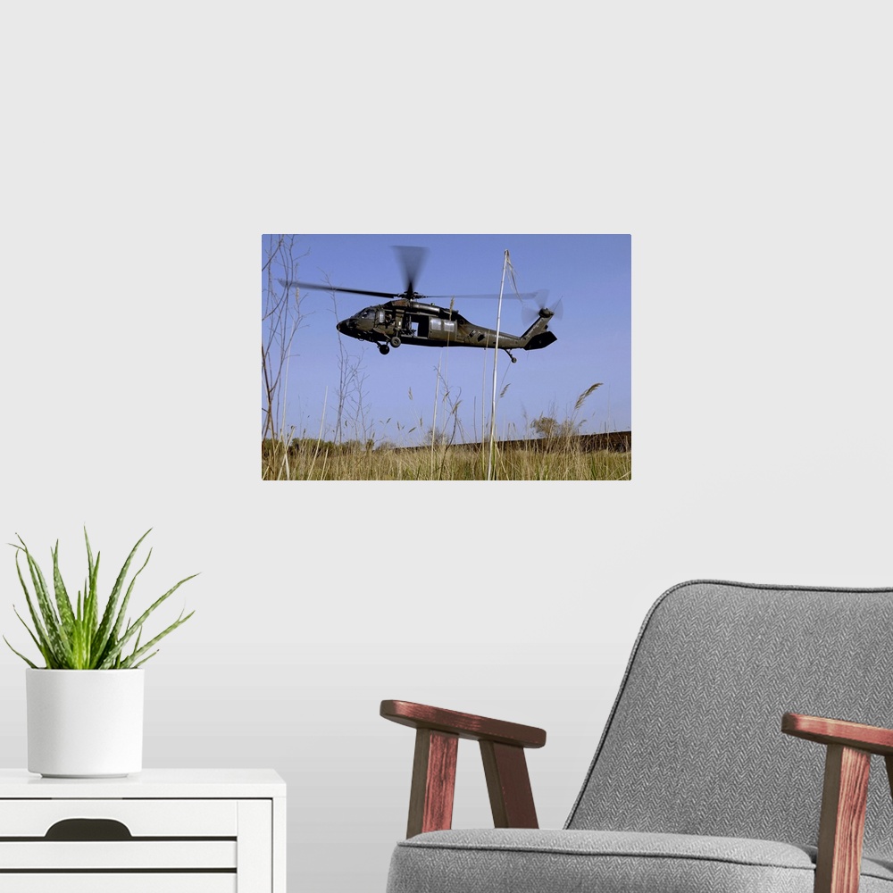 A modern room featuring Photograph taken of a helicopter as it lifts off in a tall grass field.
