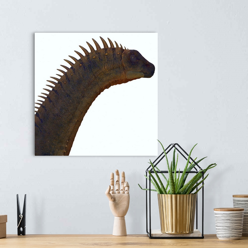 A bohemian room featuring Alamosaurus Dinosaur Head