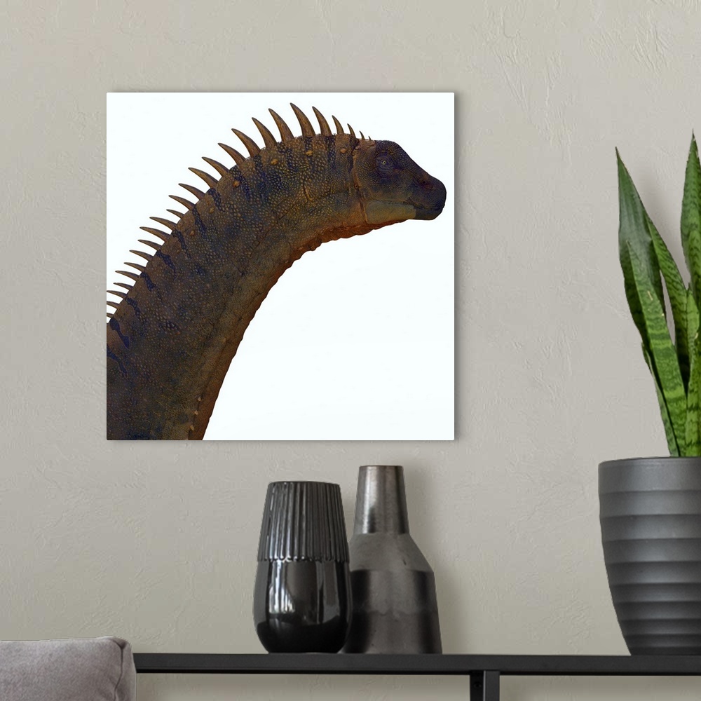 A modern room featuring Alamosaurus Dinosaur Head
