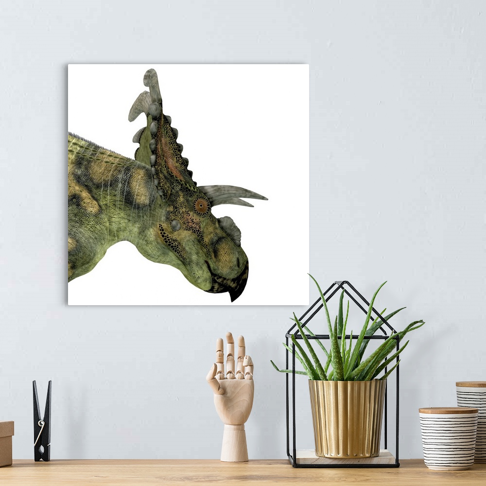 A bohemian room featuring Albertaceratops is a herbivorous dinosaur that lived in Upper North America during the Cretaceous...