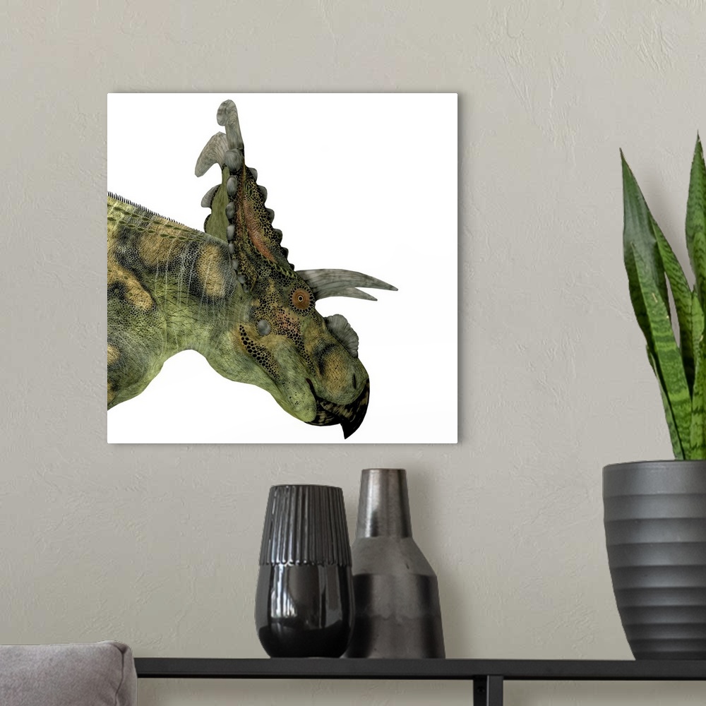 A modern room featuring Albertaceratops is a herbivorous dinosaur that lived in Upper North America during the Cretaceous...