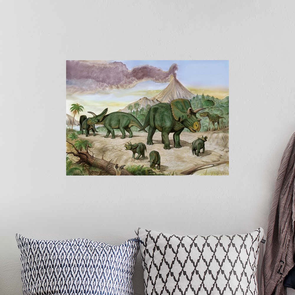 A bohemian room featuring Prehistoric