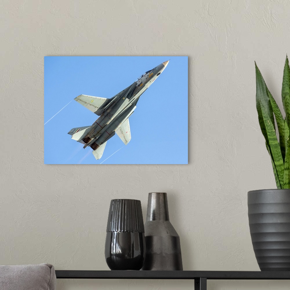A modern room featuring An F-14A Tomcat of the Islamic Republic of Iran Air Force.