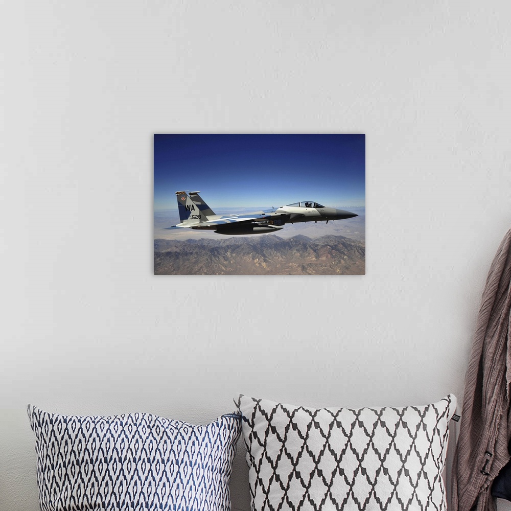 A bohemian room featuring An F-15E Strike Eagle from the 65th Aggressor Squadron.