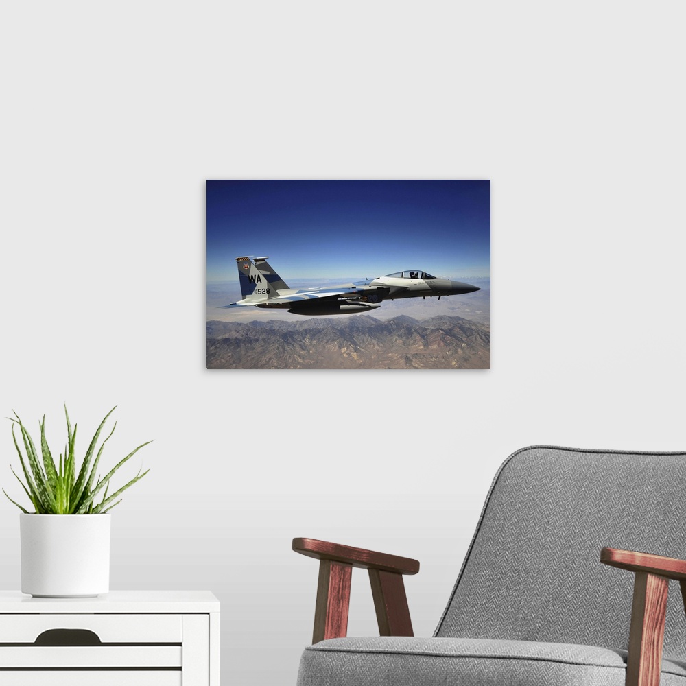 A modern room featuring An F-15E Strike Eagle from the 65th Aggressor Squadron.