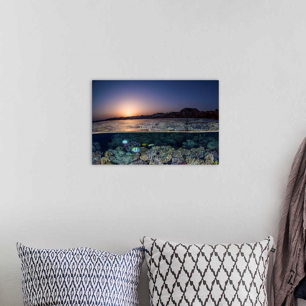 A bohemian room featuring An over under of the sunset in the Red Sea and a coral reef.